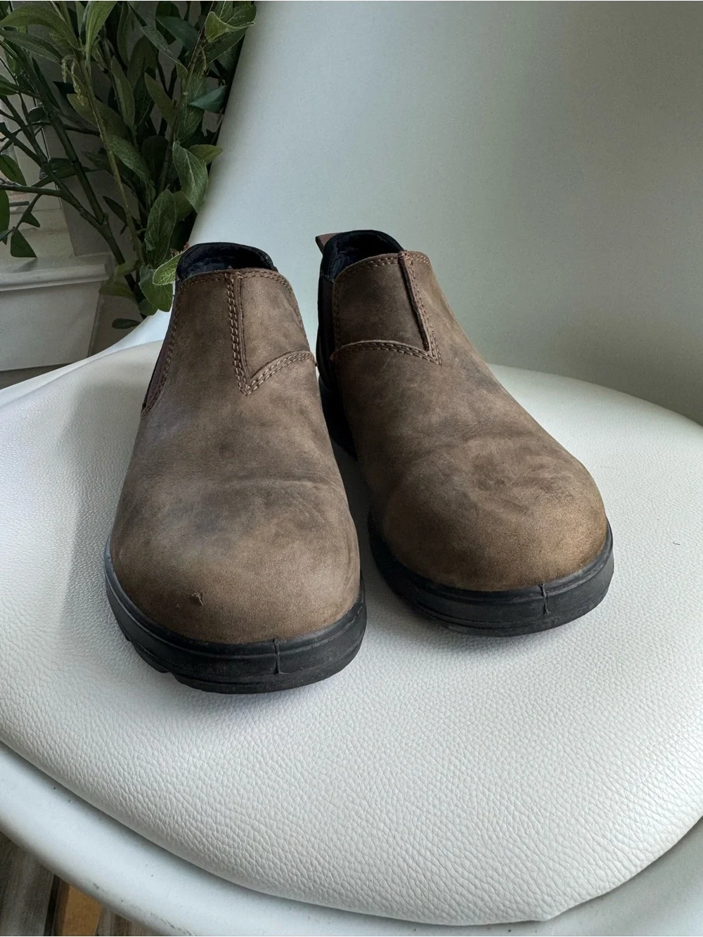 Blundstone slip chukka